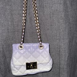 Small Aldo Cross Body Purse