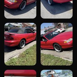 Mustang Convertible 