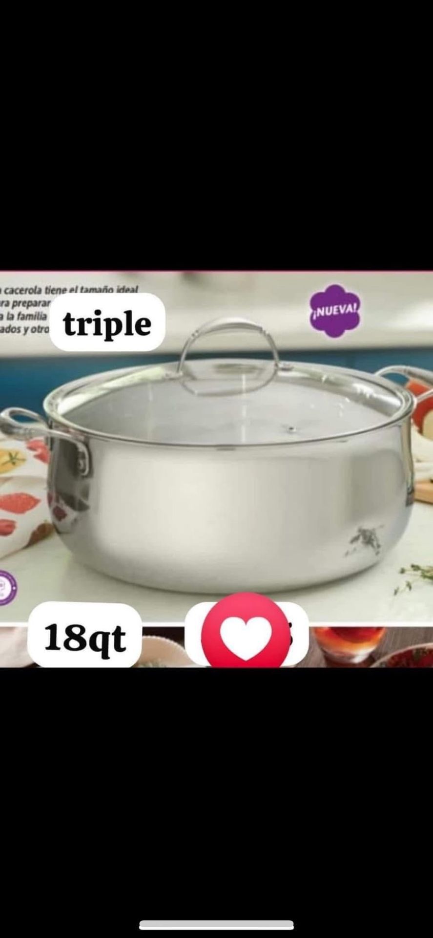 18 Qt Tryply Princess House