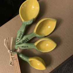 🍋 Beautiful Lemon Measuring Spoons Pairs Well With Rae Dunn