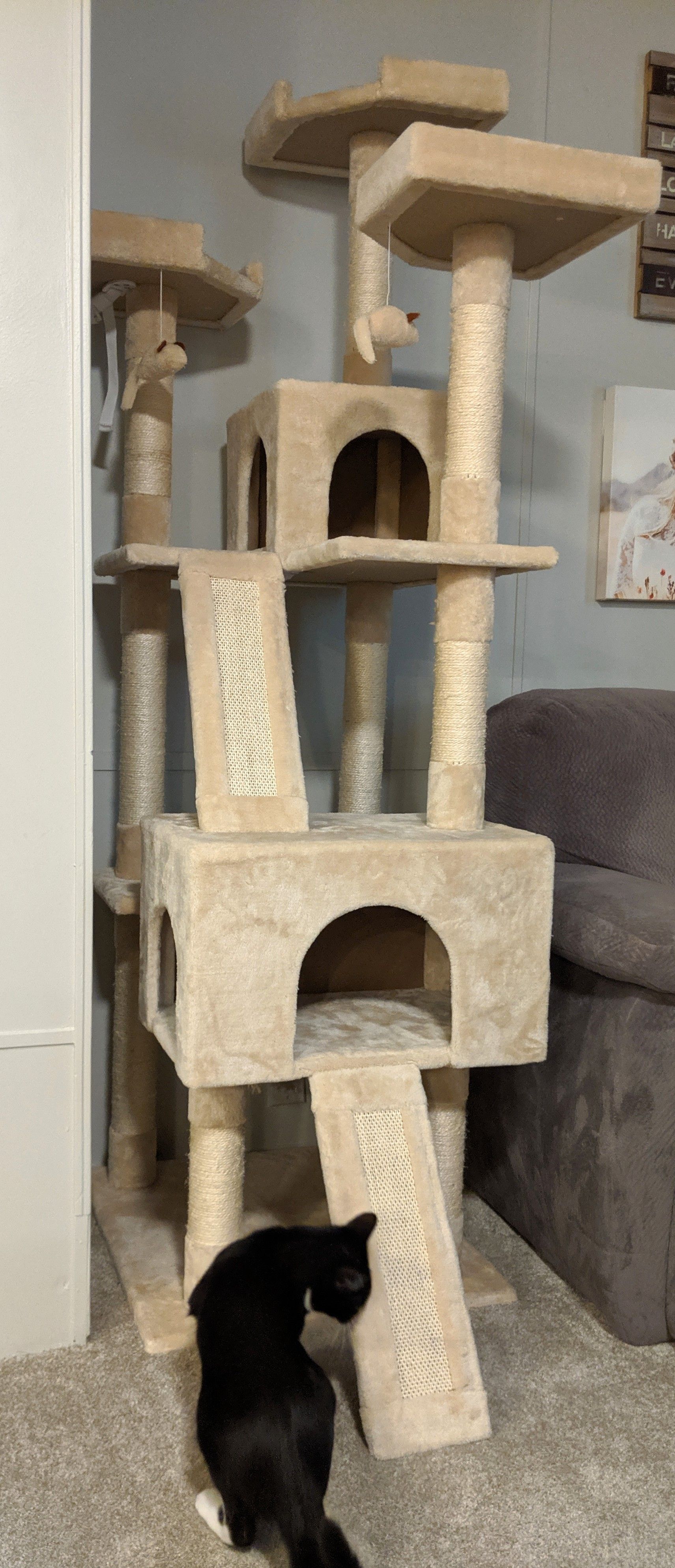 72in Cat Tree - Really Good Condition (Barely Used)