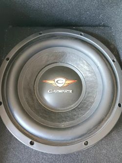 10" Subwoofer 