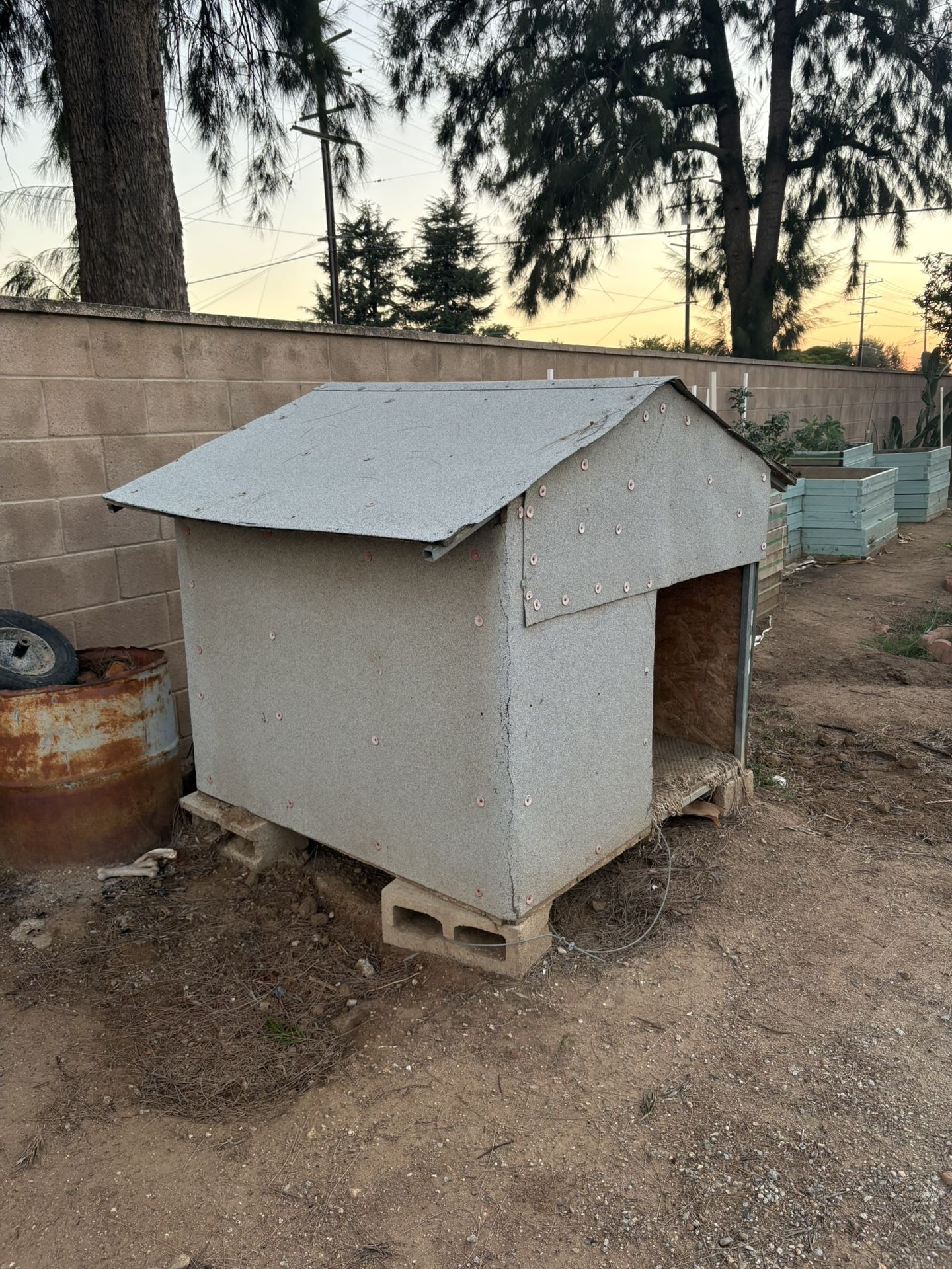 Dog House