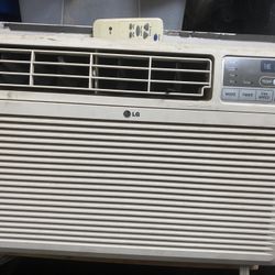 LG LWHD1006R 10,000 Cooling Capacity (BTU) Window Air Conditioner 