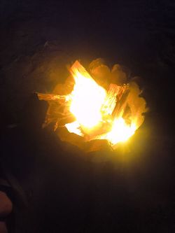 Firewood for sale