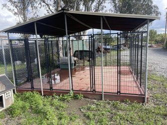 12x12 hot sale dog pen