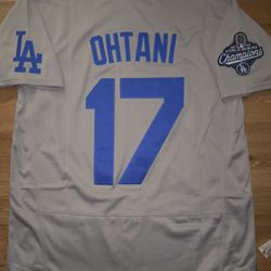 Los Angeles Dodgers 2025 World Series Champions Jersey Stitched Grey Ohtani 