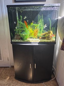 Fish tank and stand 40 gal