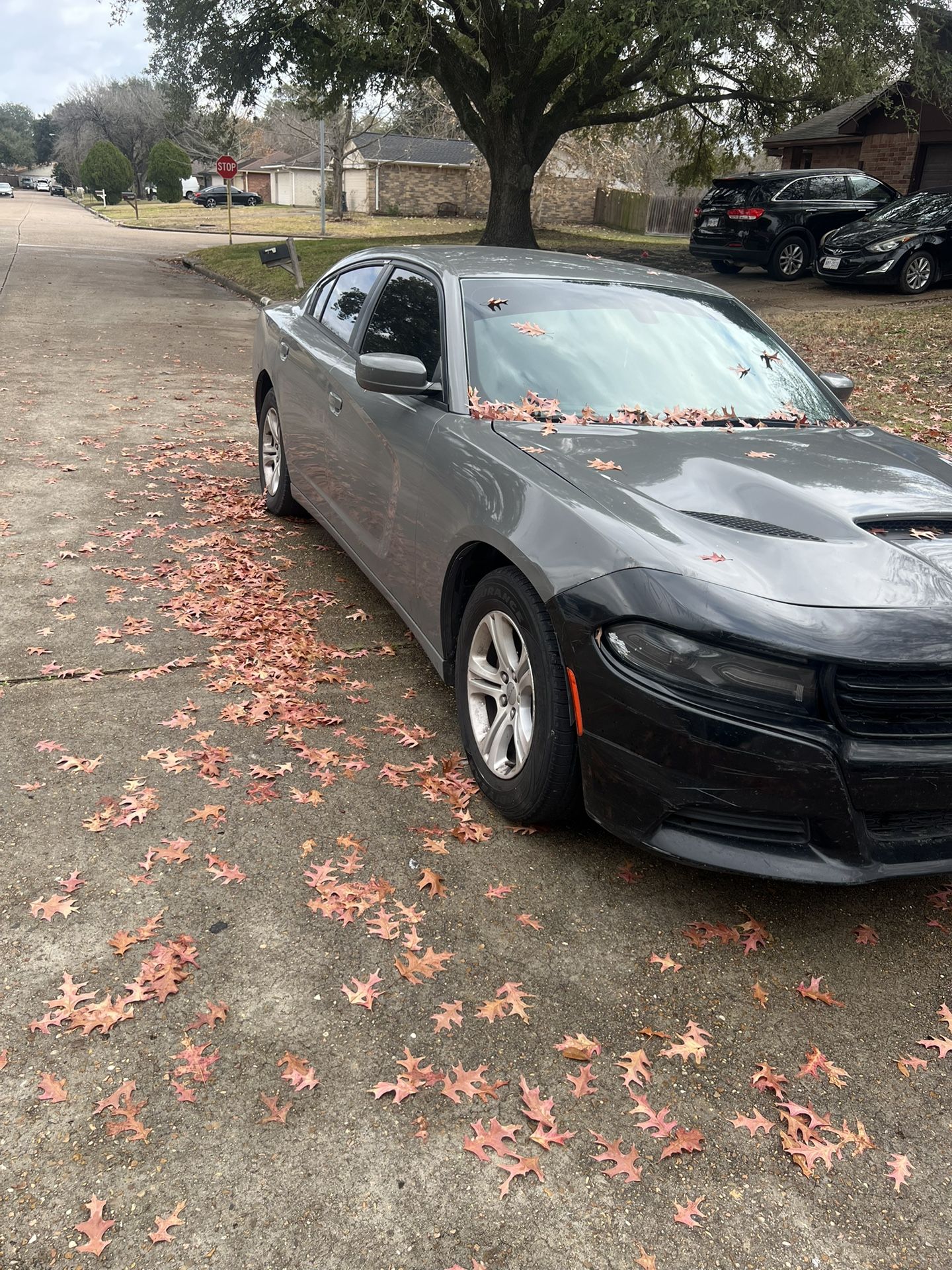Offer Up Houston Tx