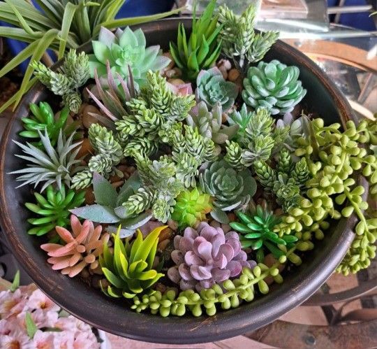 Succulent Collection : The Big Pot (Single Planter) @ Lasting Creations