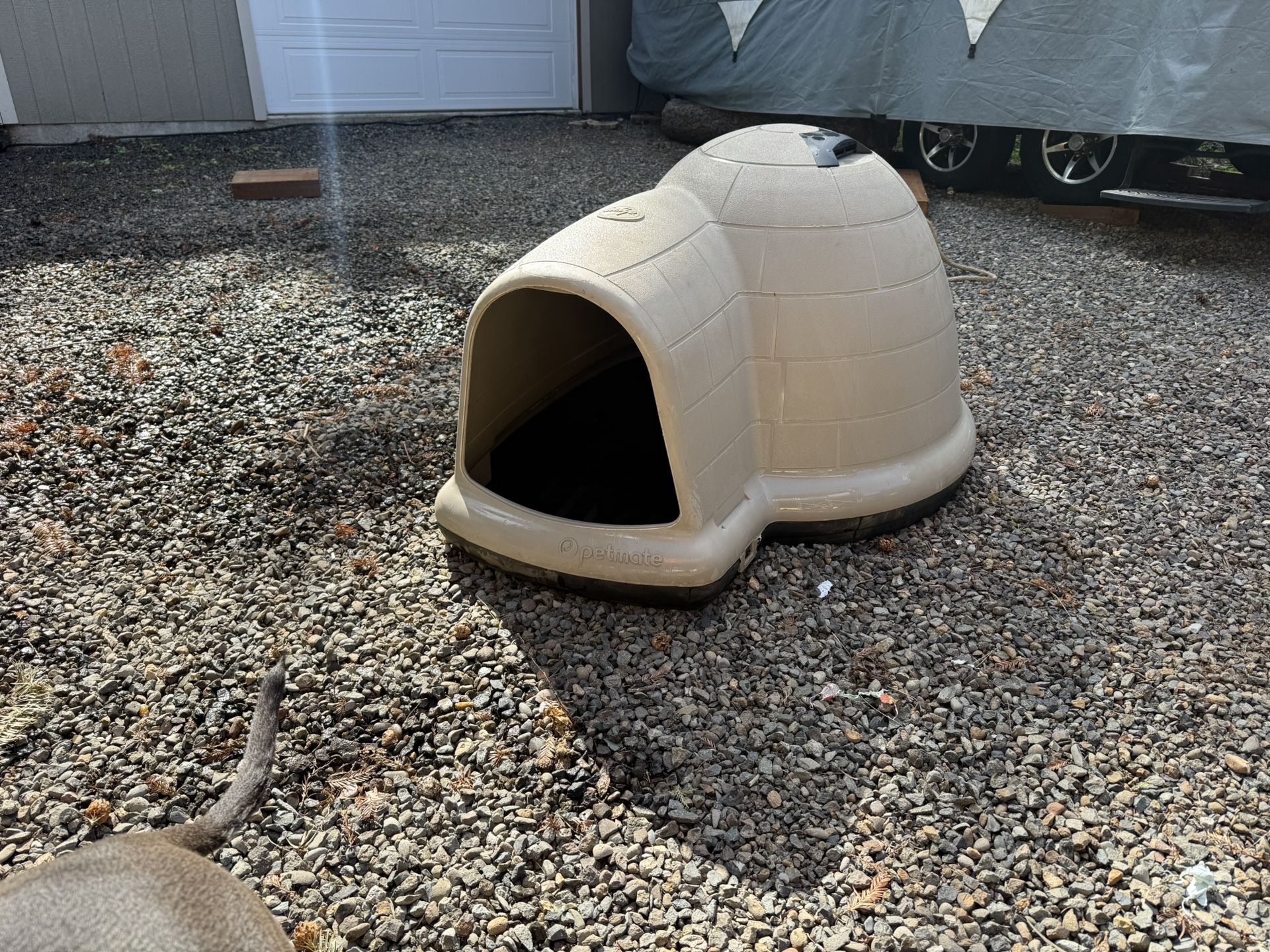 Outdoor Dog House