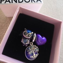 Pandora Wisdom Family Love Charm Set