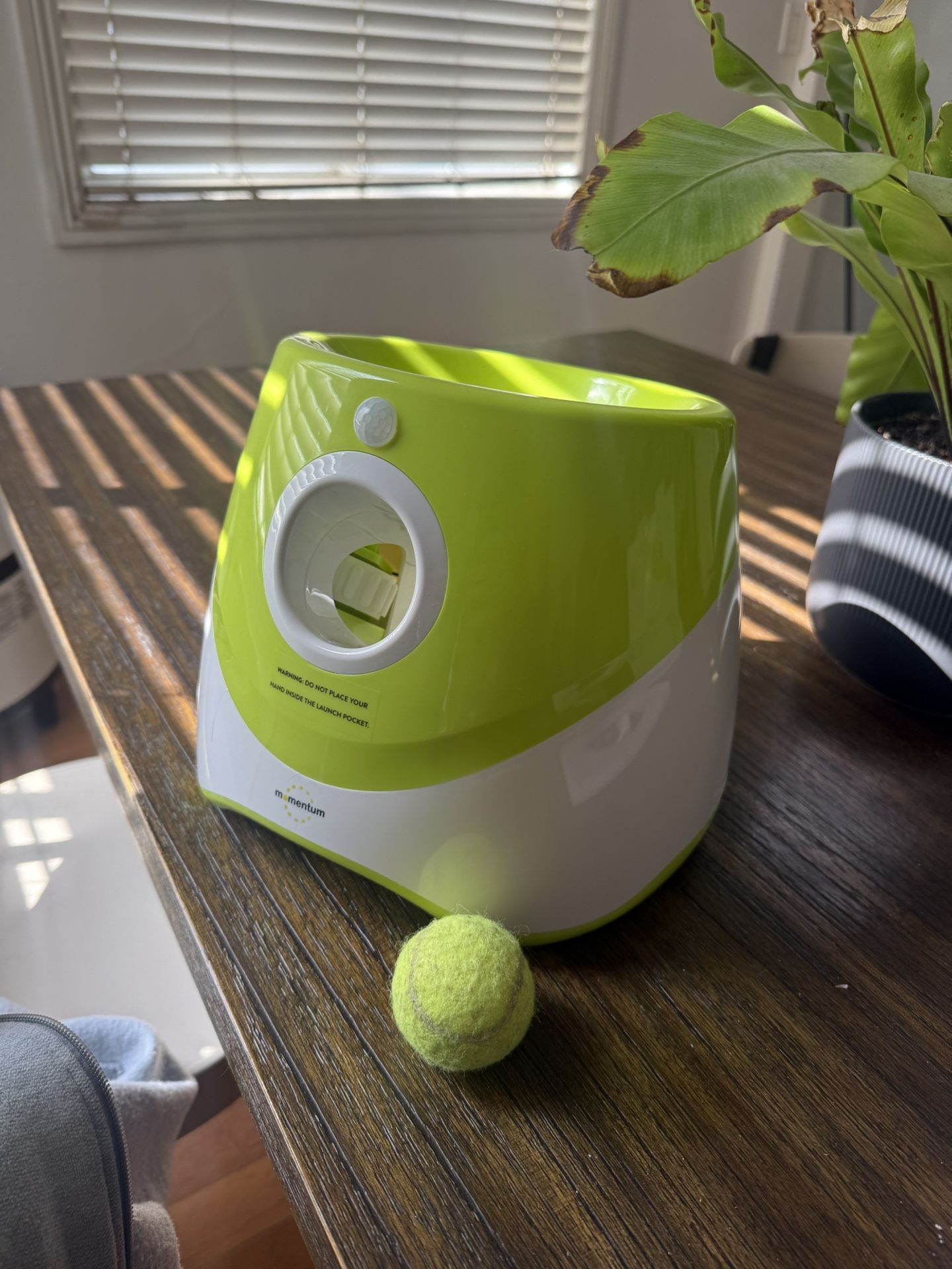 Automatic Ball Launcher / Thrower 