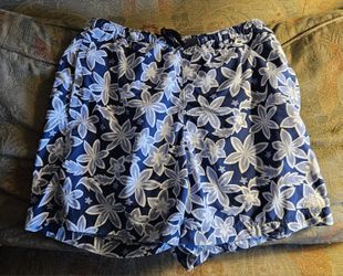 The North Face mens swimming trunks size mens Small in great shape