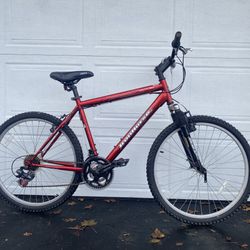 Iron horse MTB Hybrid Bike 