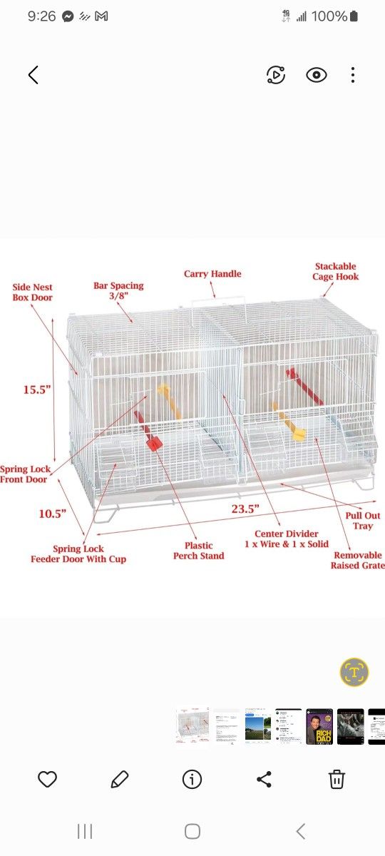 Birds Cage