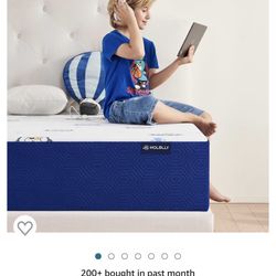 Brand New Twin Mattress