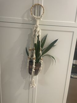 Colgante para Plantas