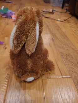Stuffed Animals/plush