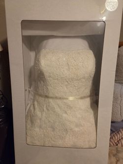 David's Bridal professional perserve wedding dress