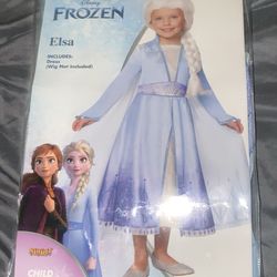 Elsa Costume 