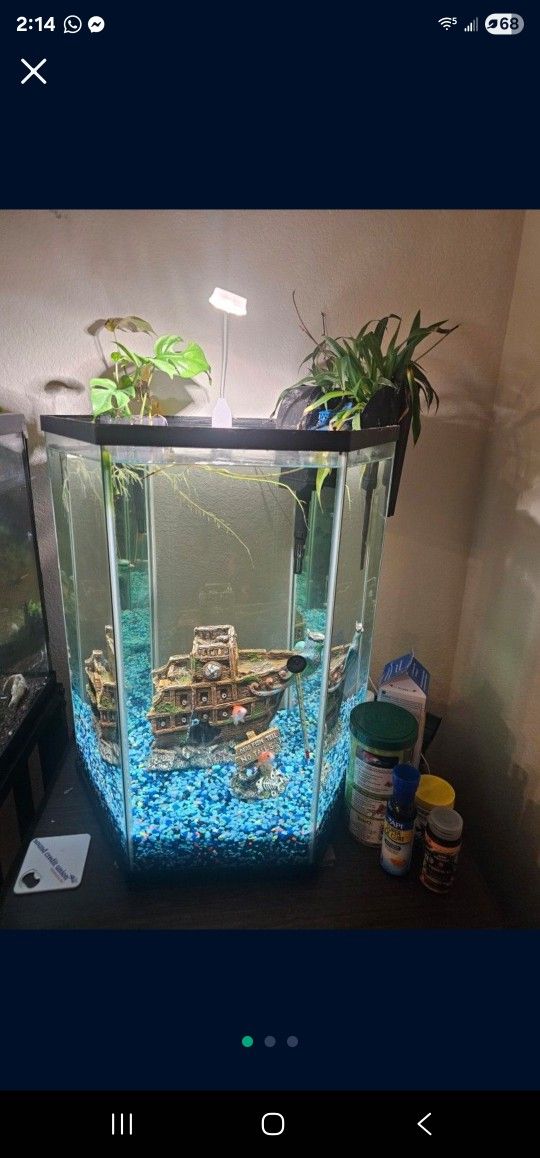 Fish Tank 