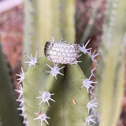 Sterling silver 925 ring 