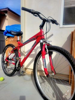 Swhinn mountain bike aluminum light