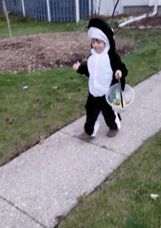 🦈 Shark Costume Boy