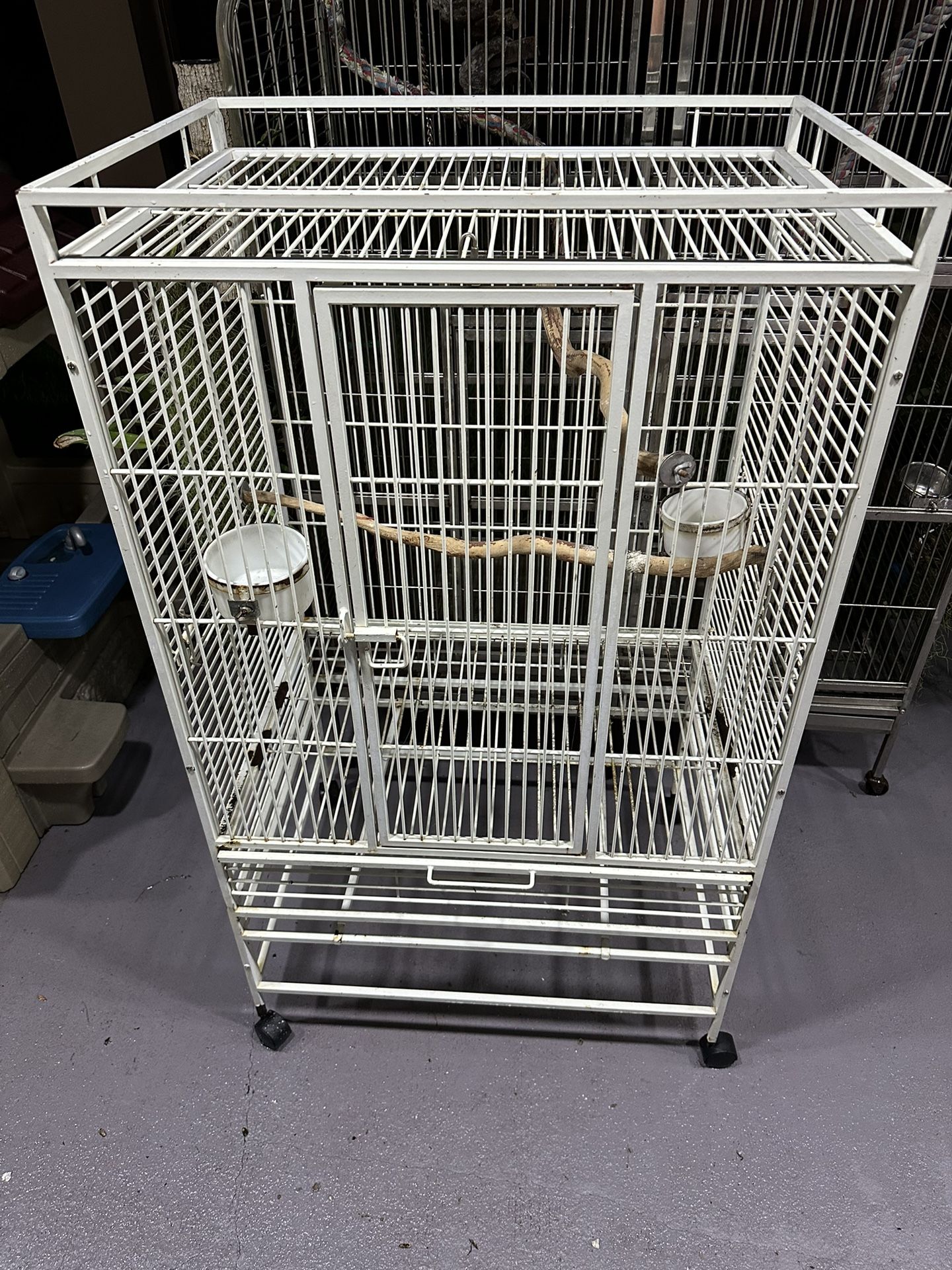 Cuban amazon cotorra cubana JAULA CAGE