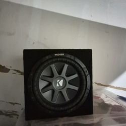 Kicked Subwoofer 10 In