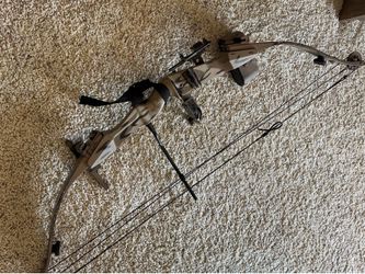 Hoyt Easton compound bow