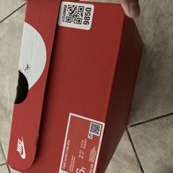 Nike Dunks Low