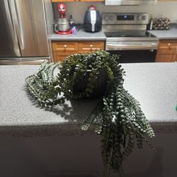 Fake Vine Plant With Macrame 