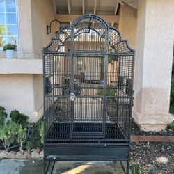 large bird cage 