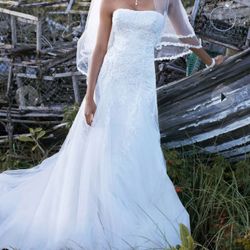 Wedding Dress, Veil, And Preservation Kit
