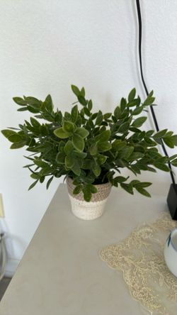 artificial potted plant, specifically mimicking a Eucalyptus