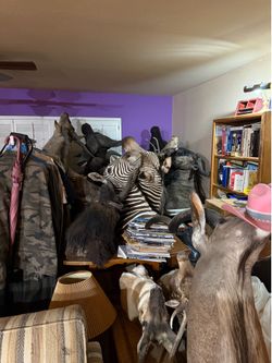 Animal heads