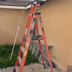 Werner Ladder  