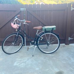 Free 10 Speed Adult bicycle