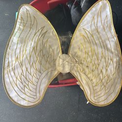 Angels Wings