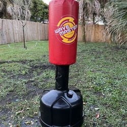 wave Master boxing training 