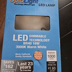 BR40 LED and A15 Incandescent Bulbs