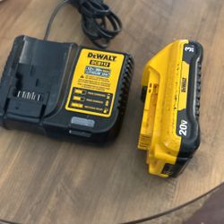 Dewalt 20v Battery And Chárter