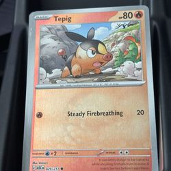 Reverse Holos Bulk 