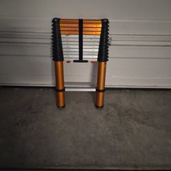 13 Ft. Aluminum LuisLadder, like new