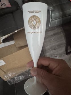 Cirque de sole champagne flutes
