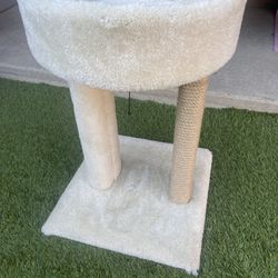 Cat Post 