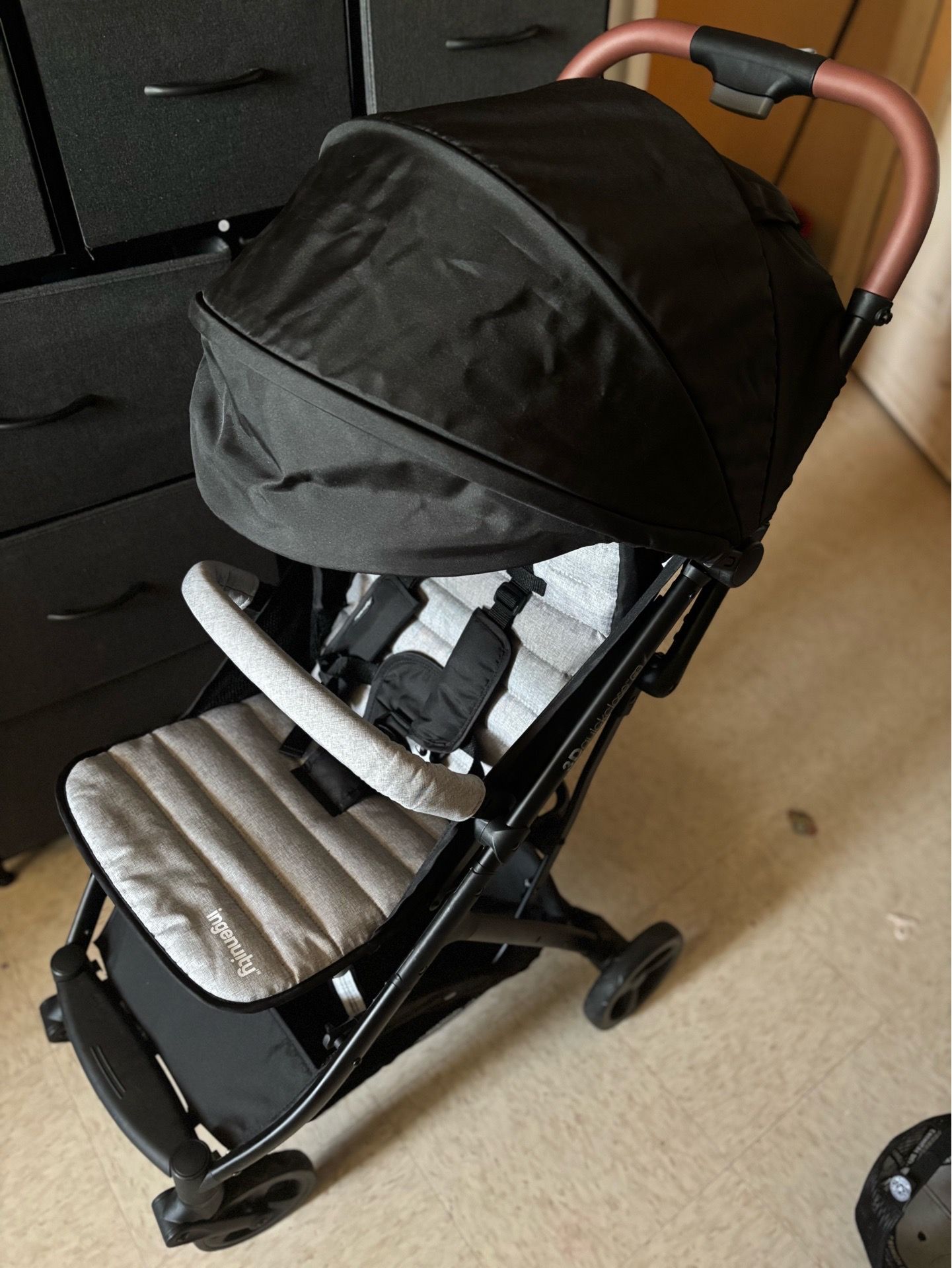 Ingenuity Stroller