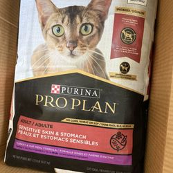 Cat Food